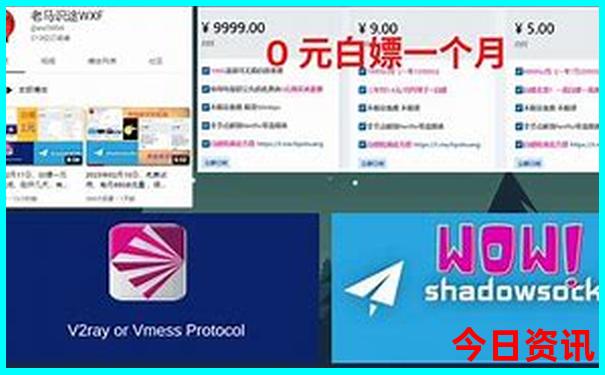 上海红色旅游景点推荐
